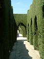 Granada - Gradinile Generalife