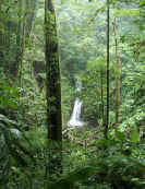 Monteverde