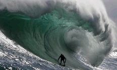 surf