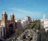 Capitala tarii este orasul Tunis