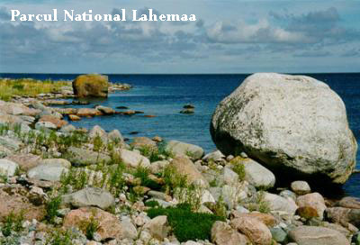 Vacanta in Vosu, Parcul National Lahemaa, vacante de vis, calatorie, insule si locuri de scufundat, top plaje de vis