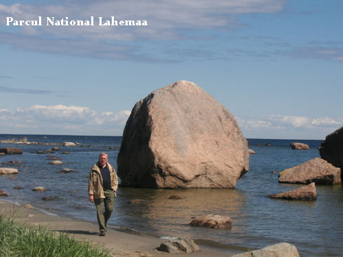 Vacanta in Vosu, Parcul National Lahemaa, vacante de vis, calatorie, insule si locuri de scufundat, top plaje de vis