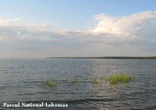 Vacanta in Vosu, Parcul National Lahemaa, vacante de vis, calatorie, insule si locuri de scufundat, top plaje de vis