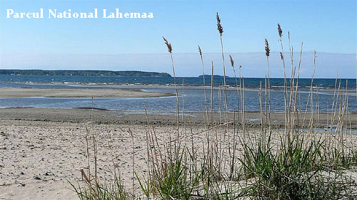 Vacanta in Vosu, Parcul National Lahemaa, vacante de vis, calatorie, insule si locuri de scufundat, top plaje de vis