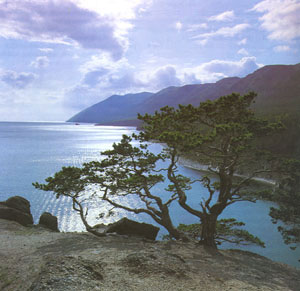 Vacanta in Golful Barguzinsky, Lacul Baikal, vacante de vis, calatorie, insule si locuri de scufundat, top plaje de vis