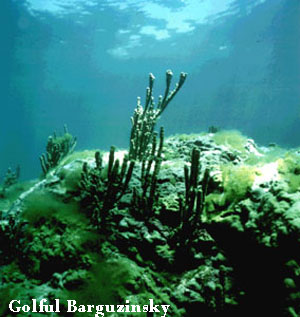 Vacanta in Golful Barguzinsky, Lacul Baikal, vacante de vis, calatorie, insule si locuri de scufundat, top plaje de vis