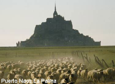 Vacanta in Golfui Mont-Saint-Michel, Manche, vacante de vis, calatorie, insule si locuri de scufundat, top plaje de vis