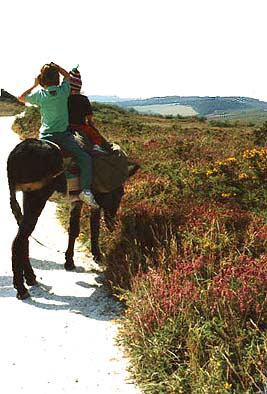 Vacanta in Parc Naturel Regional d'Armorique, Finistere, vacante de vis, calatorie, insule si locuri de scufundat, top plaje de vis