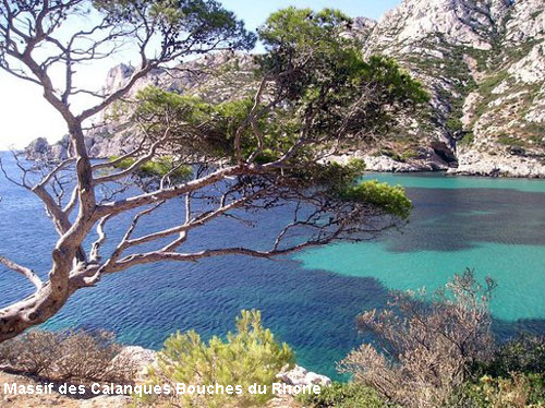 Vacanta in Camargue, Bouches-du-Rhone, vacante de vis, calatorie, insule si locuri de scufundat, top plaje de vis
