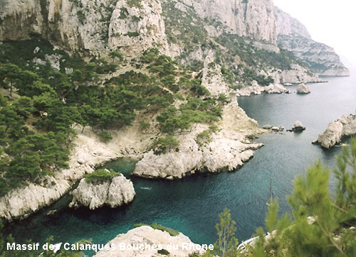Vacanta in Camargue, Bouches-du-Rhone, vacante de vis, calatorie, insule si locuri de scufundat, top plaje de vis