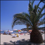 Vacanta in Marina di Campo, Elba, vacante de vis, calatorie, insule si locuri de scufundat, top plaje de vis
