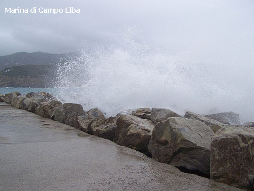 Vacanta in Marina di Campo, Elba, vacante de vis, calatorie, insule si locuri de scufundat, top plaje de vis