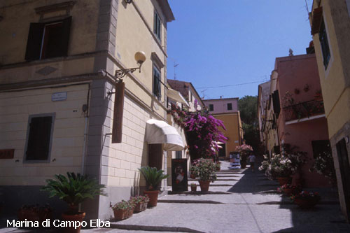 Vacanta in Marina di Campo, Elba, vacante de vis, calatorie, insule si locuri de scufundat, top plaje de vis