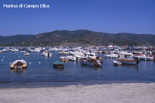 Vacanta in Marina di Campo, Elba, vacante de vis, calatorie, insule si locuri de scufundat, top plaje de vis