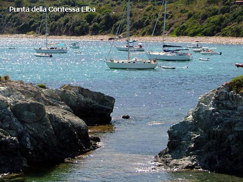 Vacanta in Punta della Contessa, Elba, vacante de vis, calatorie, insule si locuri de scufundat, top plaje de vis