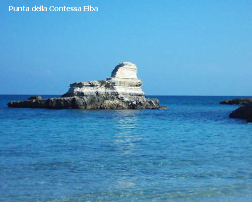 Vacanta in Punta della Contessa, Elba, vacante de vis, calatorie, insule si locuri de scufundat, top plaje de vis