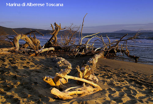 Vacanta in Marina di Alberese, Toscana, vacante de vis, calatorie, insule si locuri de scufundat, top plaje de vis