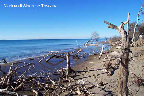 Vacanta in Marina di Alberese, Toscana, vacante de vis, calatorie, insule si locuri de scufundat, top plaje de vis