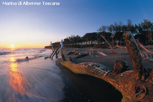 Vacanta in Marina di Alberese, Toscana, vacante de vis, calatorie, insule si locuri de scufundat, top plaje de vis