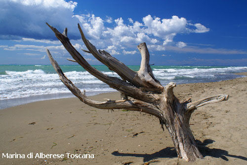 Vacanta in Marina di Alberese, Toscana, vacante de vis, calatorie, insule si locuri de scufundat, top plaje de vis