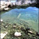 Vacanta in Isola Pianosa, Toscana, vacante de vis, calatorie, insule si locuri de scufundat, top plaje de vis