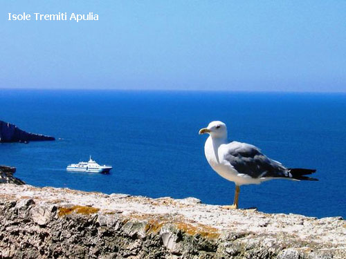 Vacanta in Isole Tremiti, Apulia, vacante de vis, calatorie, insule si locuri de scufundat, top plaje de vis