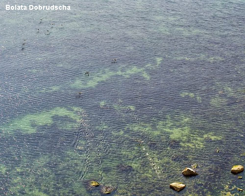 Vacanta in Bolata, Dobrudscha, vacante de vis, calatorie, insule si locuri de scufundat, top plaje de vis