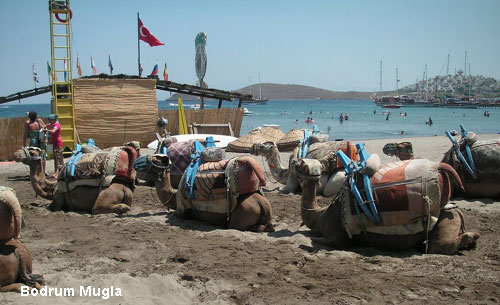Vacanta in Bodrum, Mugla, vacante de vis, calatorie, insule si locuri de scufundat, top plaje de vis