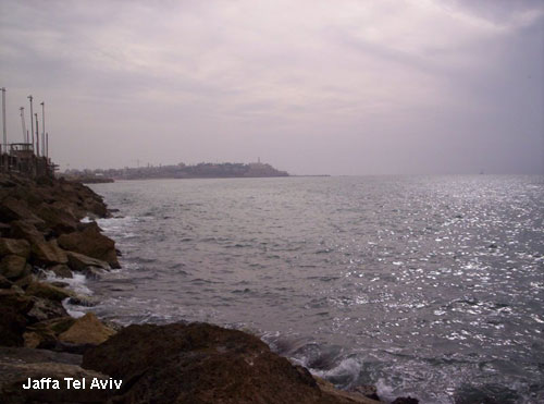 Vacanta in Jaffa Tel Aviv, vacante de vis, calatorie, insule si locuri de scufundat, top plaje de vis