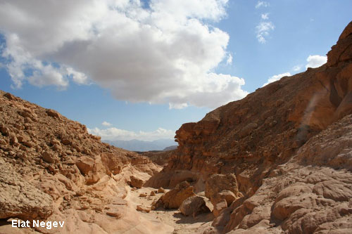 Vacanta in Elat Negev, vacante de vis, calatorie, insule si locuri de scufundat, top plaje de vis
