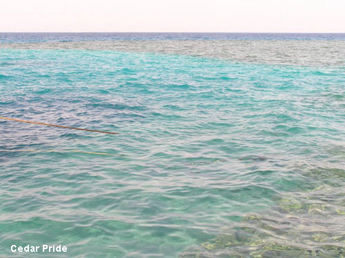 Vacanta in Cedar Pride Marea Rosie, vacante de vis, calatorie, insule si locuri de scufundat, top plaje de vis