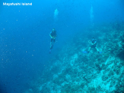 Vacanta in Mayafushi Island, atolul Ari, vacante de vis, calatorie, insule si locuri de scufundat, top plaje de vis