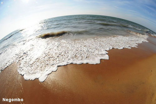 Vacanta in Negombo, vacante de vis, calatorie, insule si locuri de scufundat, top plaje de vis