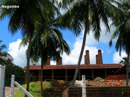Vacanta in Negombo, vacante de vis, calatorie, insule si locuri de scufundat, top plaje de vis