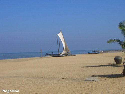 Vacanta in Negombo, vacante de vis, calatorie, insule si locuri de scufundat, top plaje de vis