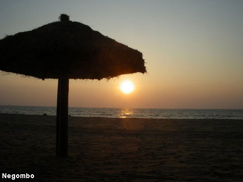 Vacanta in Negombo, vacante de vis, calatorie, insule si locuri de scufundat, top plaje de vis