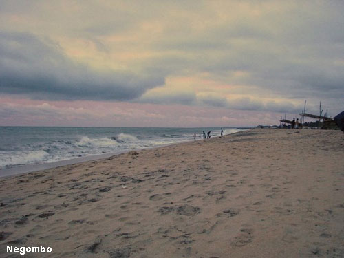 Vacanta in Negombo, vacante de vis, calatorie, insule si locuri de scufundat, top plaje de vis
