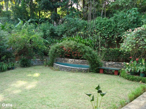 Vacanta in Negombo, vacante de vis, calatorie, insule si locuri de scufundat, top plaje de vis