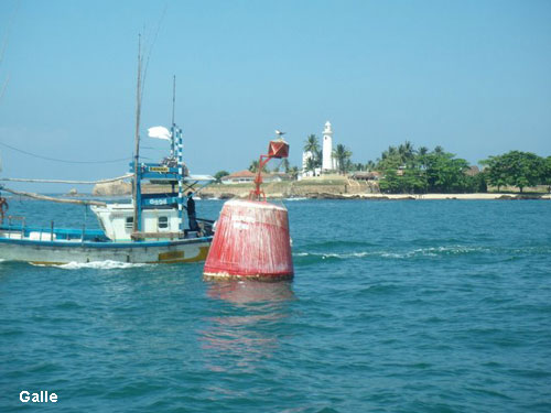 Vacanta in Negombo, vacante de vis, calatorie, insule si locuri de scufundat, top plaje de vis