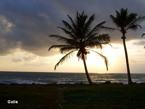 Vacanta in Negombo, vacante de vis, calatorie, insule si locuri de scufundat, top plaje de vis