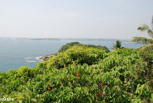 Vacanta in Negombo, vacante de vis, calatorie, insule si locuri de scufundat, top plaje de vis