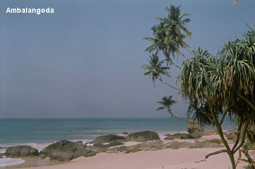 Vacanta in Ambalangoda, vacante de vis, calatorie, insule si locuri de scufundat, top plaje de vis