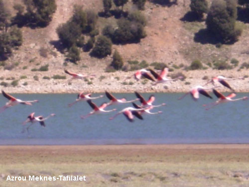 Vacanta in Azrou Meknes-Tafilalet, vacante de vis, calatorie, insule si locuri de scufundat, top plaje de vis