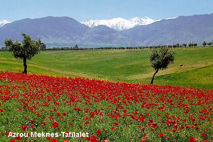 Vacanta in Azrou Meknes-Tafilalet, vacante de vis, calatorie, insule si locuri de scufundat, top plaje de vis