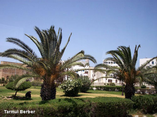 Vacanta in Tarmul Berber, vacante de vis, calatorie, insule si locuri de scufundat, top plaje de vis