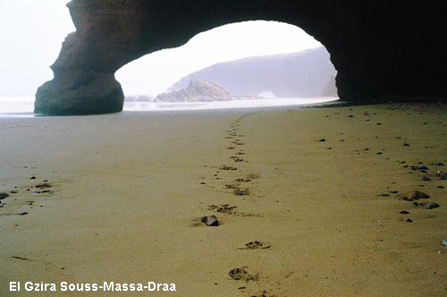 Vacanta in El Gzira Souss-Massa-Draa, vacante de vis, calatorie, insule si locuri de scufundat, top plaje de vis