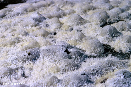 Vacanta in Lacul Assal, vacante de vis, calatorie, insule si locuri de scufundat, top plaje de vis