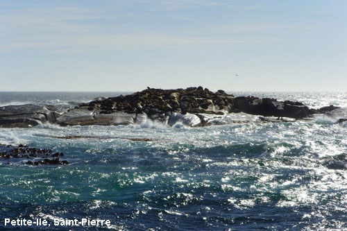 Vacanta in Petite-Ile, Saint-Pierre, vacante de vis, calatorie, insule si locuri de scufundat, top plaje de vis