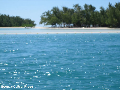 Vacanta in Ile aux Cerfs, Flacq, vacante de vis, calatorie, insule si locuri de scufundat, top plaje de vis