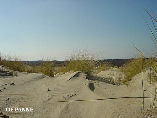Vacanta in De Panne, Flandra de Vest, vacante de vis, calatorie, insule si locuri de scufundat, top plaje de vis